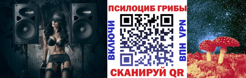 Псилоцибиновые грибы Cubensis  Алексеевка 
